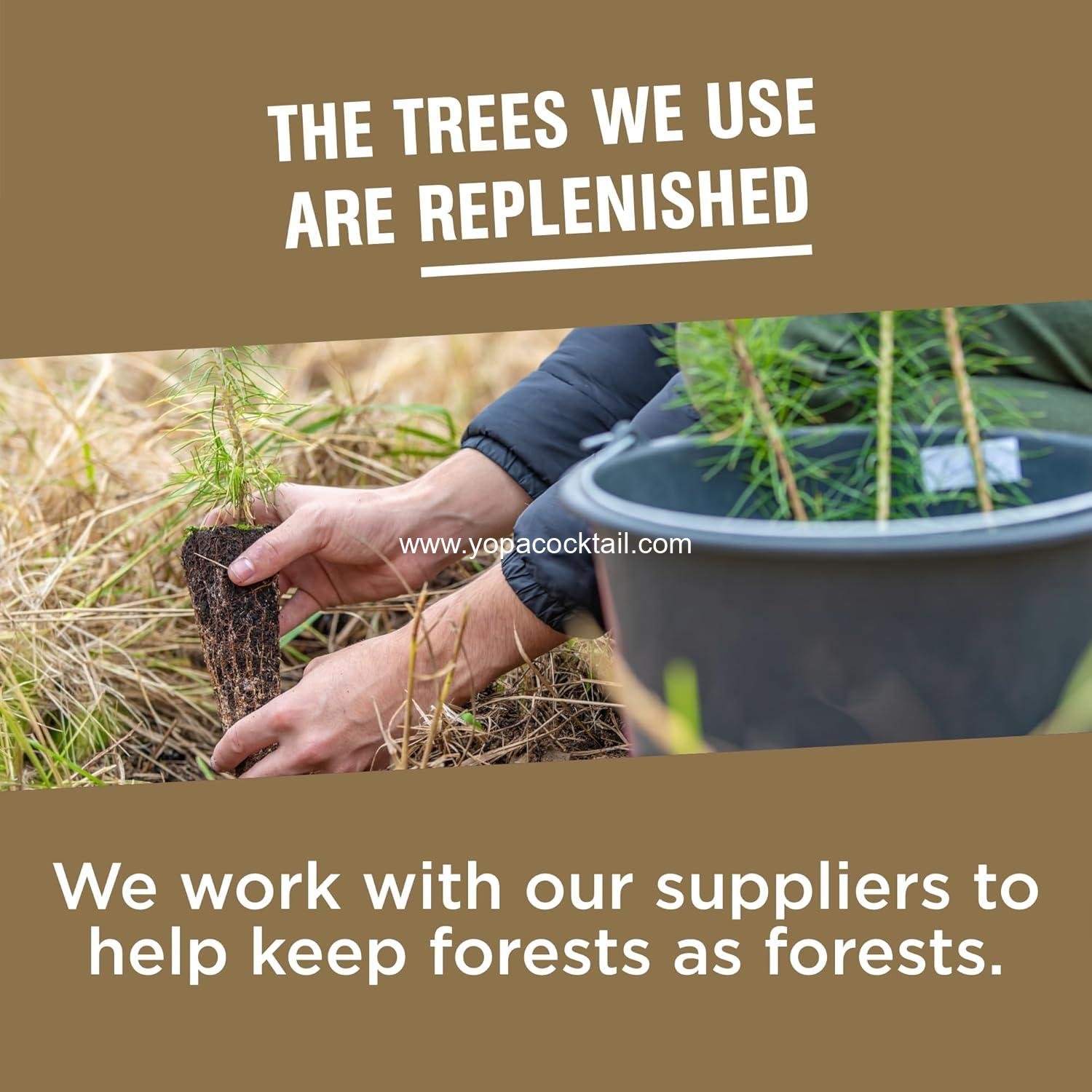 Wholesale 2-Ply Beverage Napkins, White, 40 Count, 4.9