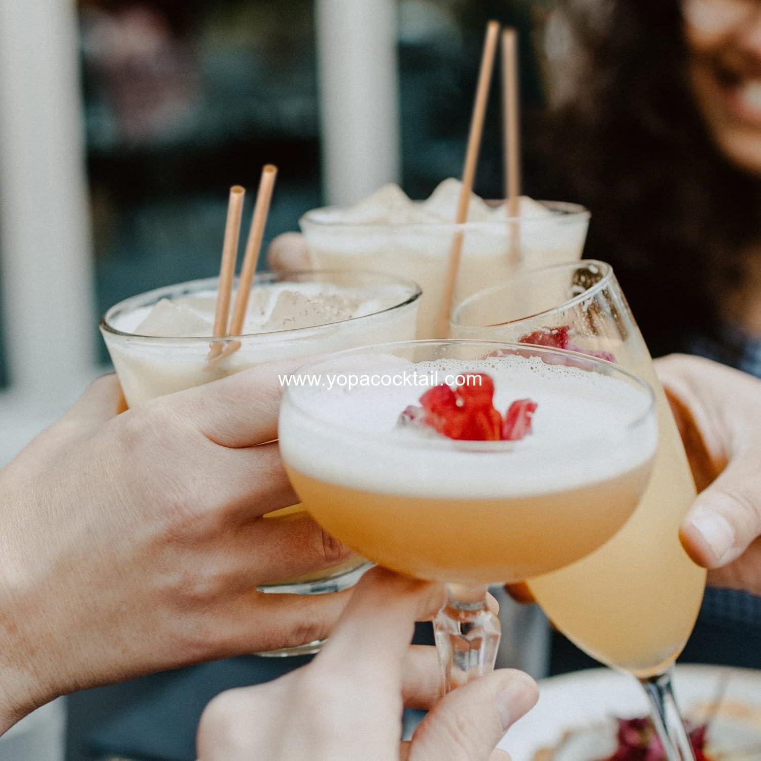 Wholesale 5 Inch Biodegradable Cocktail Straws - 200 pcs Compostable Stirrers Made from 100% Sugarcane Fiber, Sturdy Drinking Straws for Hot and Cold Drinks - Supplier