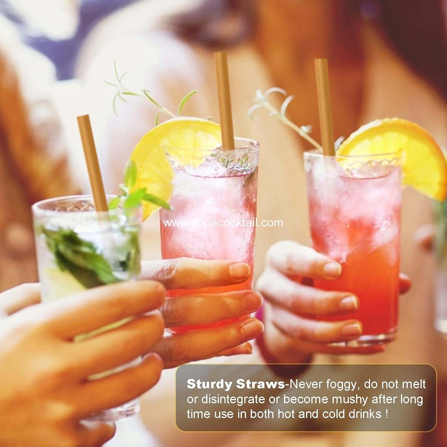 Wholesale 5 Inch Biodegradable Cocktail Straws - 200 pcs Compostable Stirrers Made from 100% Sugarcane Fiber, Sturdy Drinking Straws for Hot and Cold Drinks - Supplier