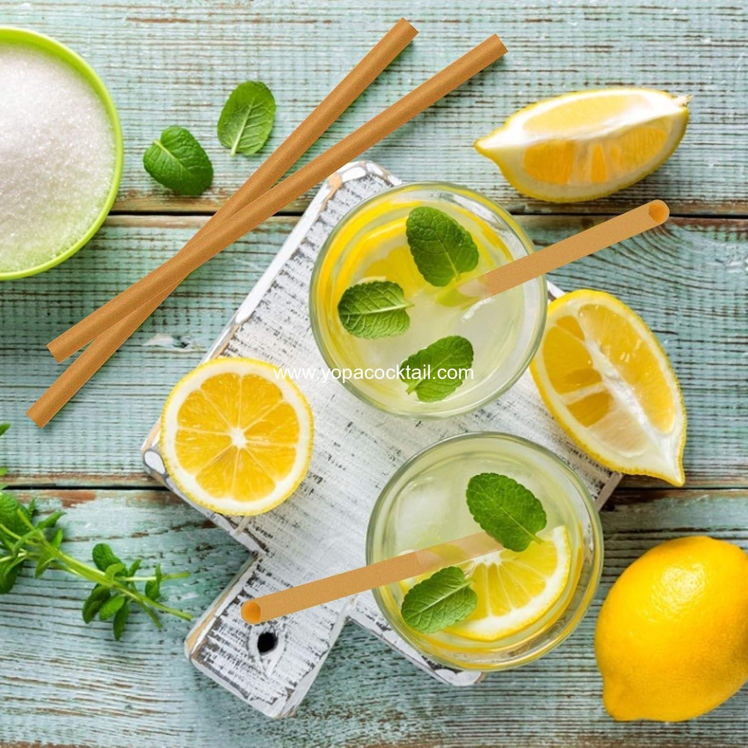 Wholesale 5 Inch Biodegradable Cocktail Straws - 200 pcs Compostable Stirrers Made from 100% Sugarcane Fiber, Sturdy Drinking Straws for Hot and Cold Drinks - Supplier