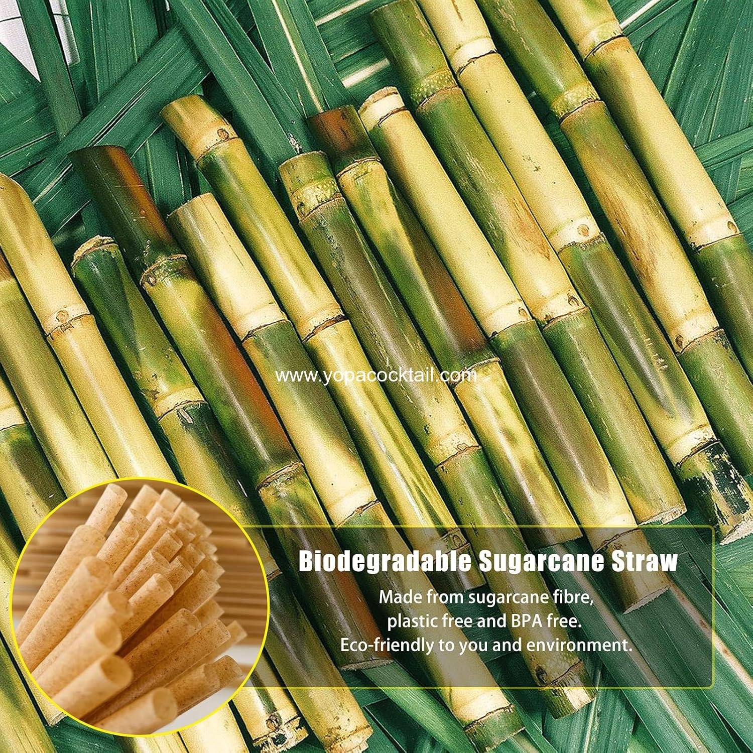 Wholesale 5 Inch Biodegradable Cocktail Straws - 200 pcs Compostable Stirrers Made from 100% Sugarcane Fiber, Sturdy Drinking Straws for Hot and Cold Drinks - Supplier