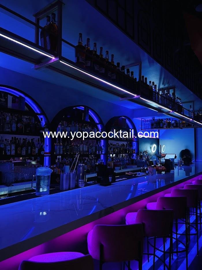 Hidden Bar Houston Review — A Secret Cocktail Gem