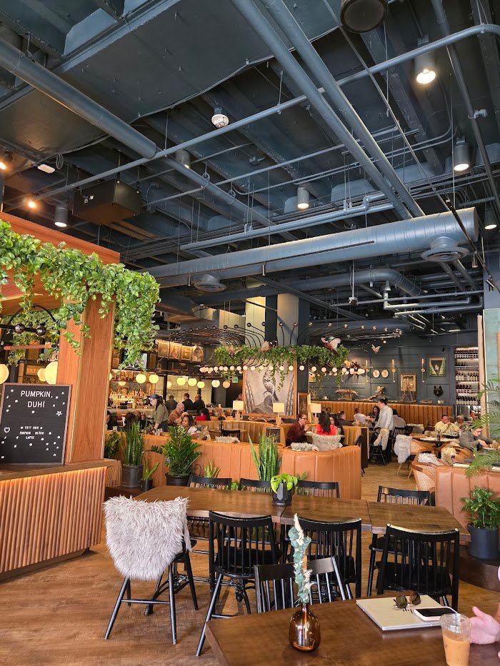 Wren & Wolf Review: Phoenix Cocktail Bar Worth Visiting Wren & Wolf Review: Phoenix Cocktail Bar Worth Visiting