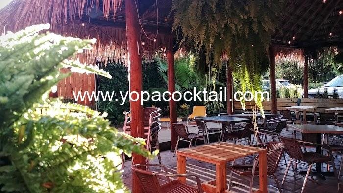 The Toasted Coconut Review — Houston’s Best Tropical Cocktail Bar