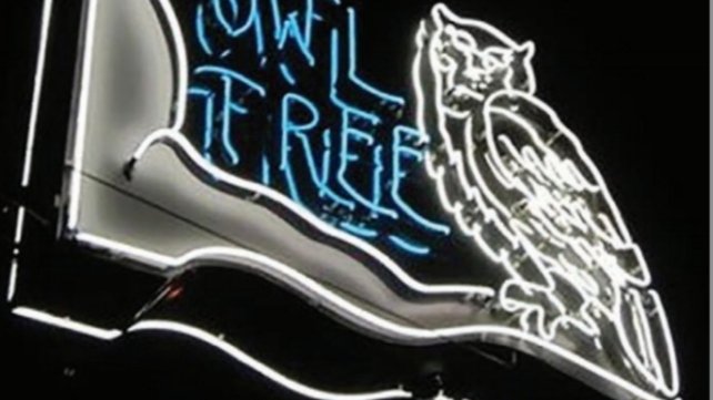 Owl Tree San Francisco Cocktail Bar Review: Intimate Cocktails, Cozy Vibes (2025)