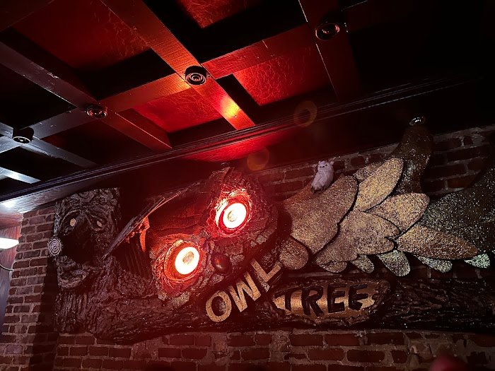 Owl Tree San Francisco Cocktail Bar Review: Intimate Cocktails, Cozy Vibes (2025)