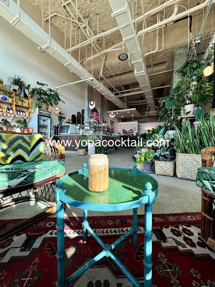 The Greenhouse Bar Review: Jacksonville’s Must-Visit Cocktail Garden