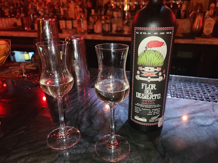 Trash Panda Drinking Club Review — Houston's Top Cocktail Spot