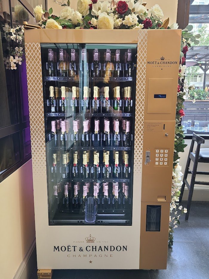 Fifth & Rose Review — San Diego's Cozy Cocktail Bar Gem