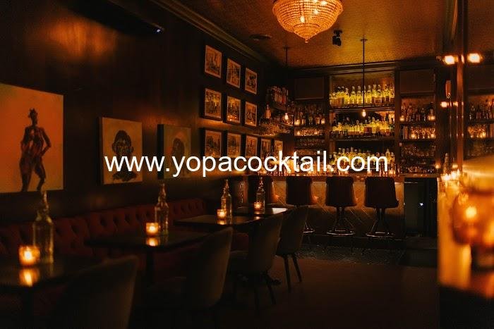 The Alderman Review: Chicago Cocktail Bar with Classic Charm