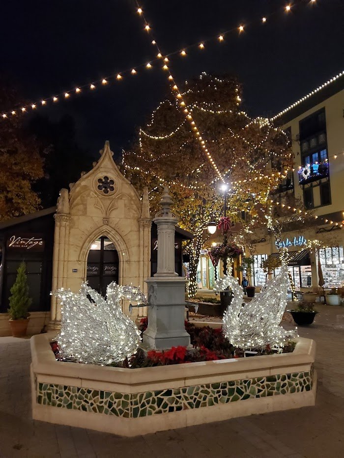 Vintage Wine Bar Review: San Jose’s Charming Cocktail Haven