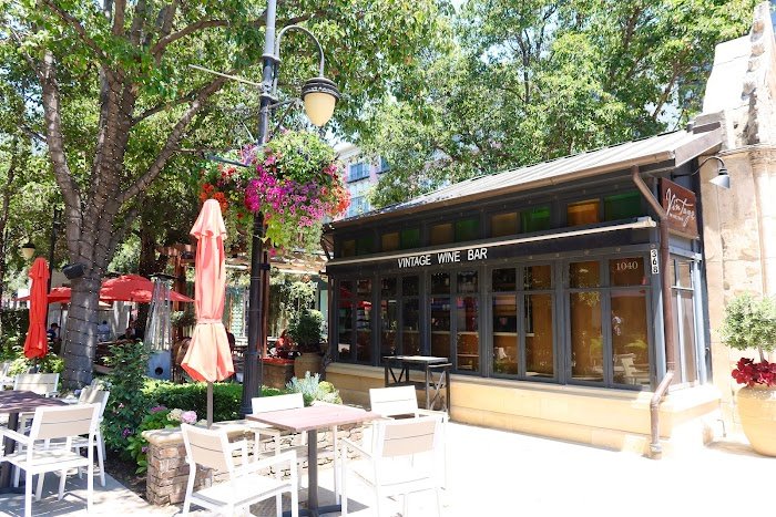 Vintage Wine Bar Review: San Jose’s Charming Cocktail Haven