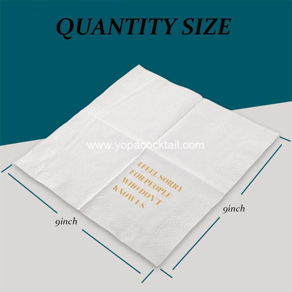 Wholesale Funny Cocktail Napkins 100 Pcs Disposable Paper Napkins with Quotes 4.5 x 4.5 Two-ply (I Feel Sorry For People Who Don’t Know Us) Supplier