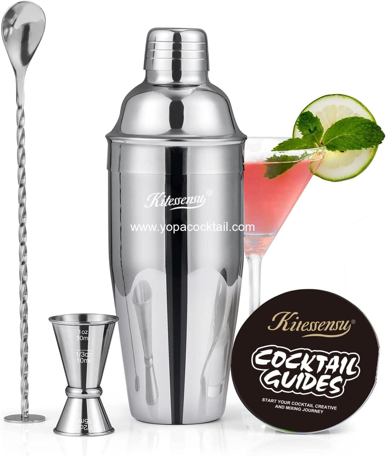 Cocktail Shaker, KITESSENSU 24oz Drink Shaker with Bartender Strainer, Measuring Jigger, Bar Mixing Spoon, Cocktail Recipe Guide, Professional Drink Mixer Set for Beginners, Silver
