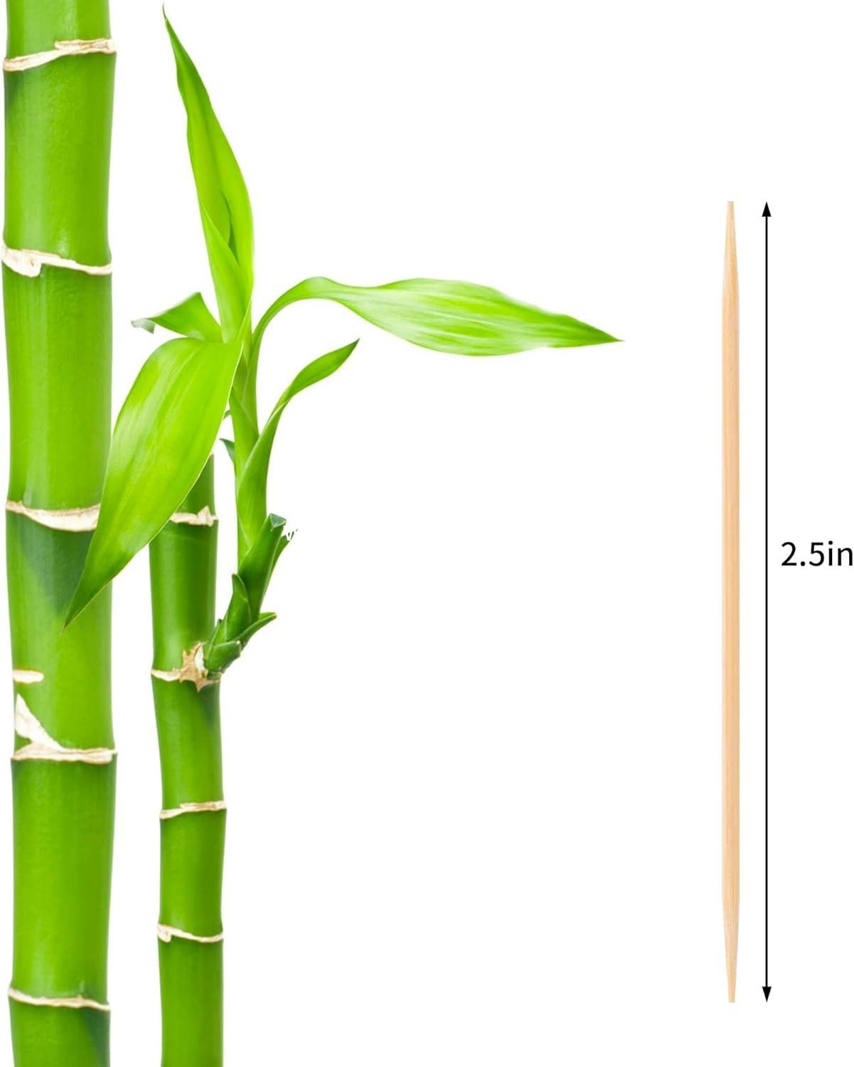 OEM 1000 Count Bamboo Toothpicks Round Double-Pointed Wooden for Appetizers Barbecue Fruits Teeth Cleaning manufacturer OEM 1000 Count Bamboo Toothpicks Round Double-Pointed Wooden for Appetizers Barbecue Fruits Teeth Cleaning manufacturer